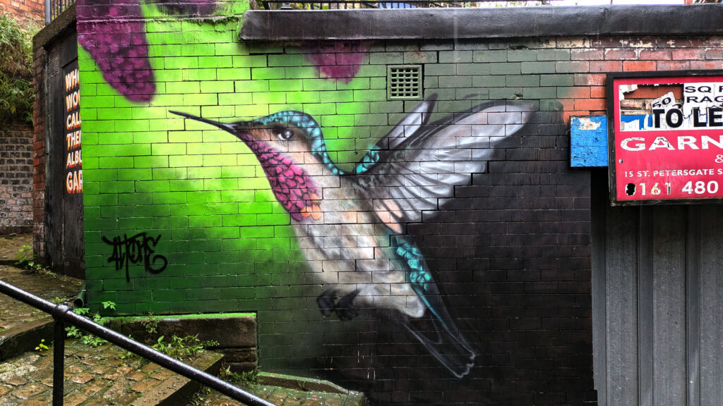 A detailed painting of a grey, pink and teal hummingbird with a vivid green background.
